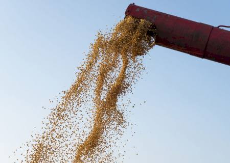 Campo Grande exportou R$ 2,487 bilhões em 2023, segundo o Ministério da Indústria